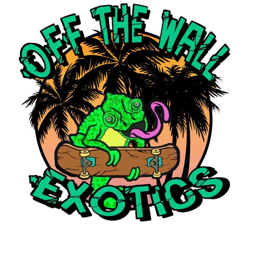 Off the Wall Exotics LLC